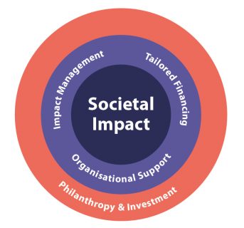 What-is-Venture-Philanthropy-graph